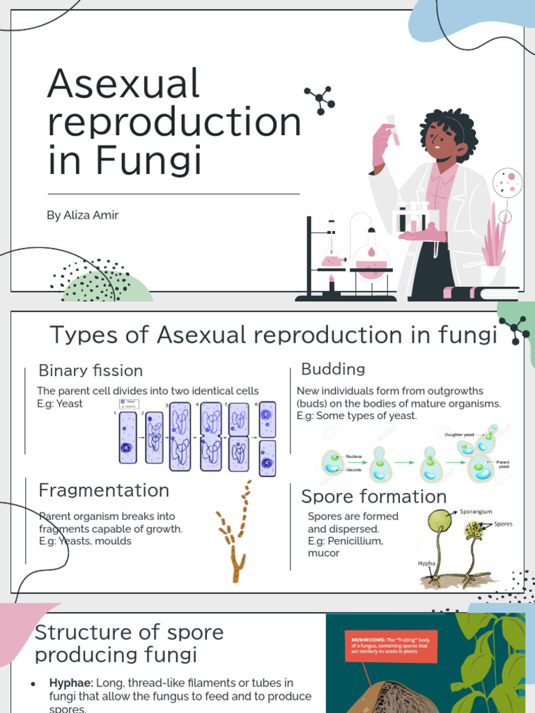 ASEXUAL REPRODUCTION PDF visual data 2