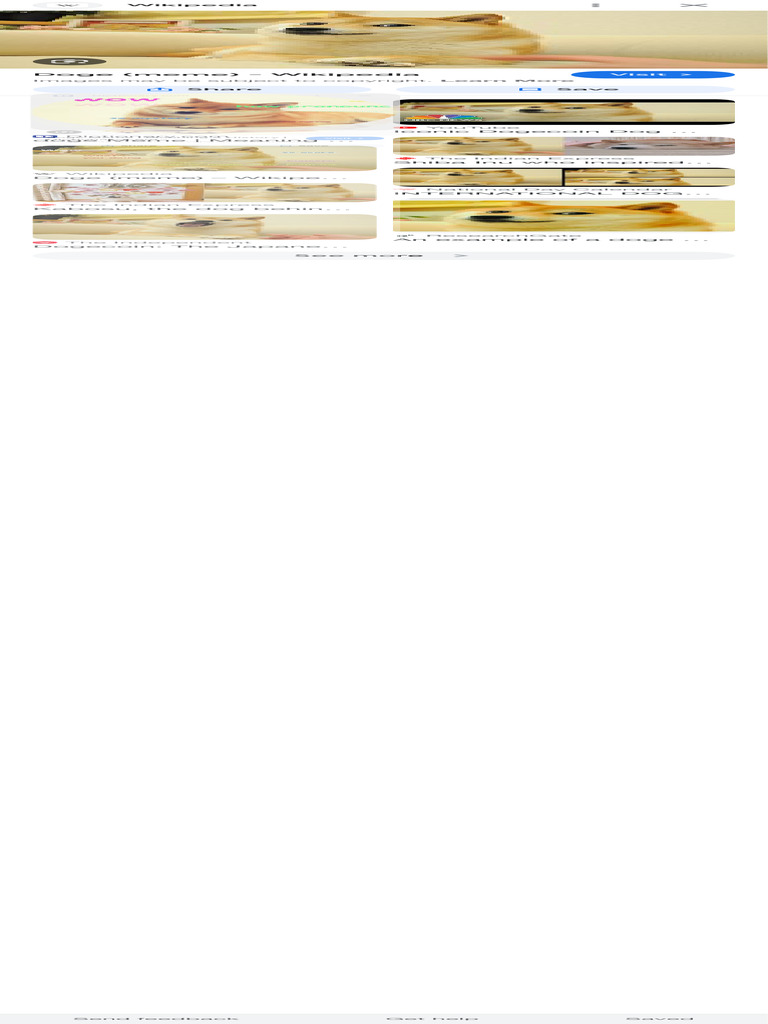 Doge google search pdf