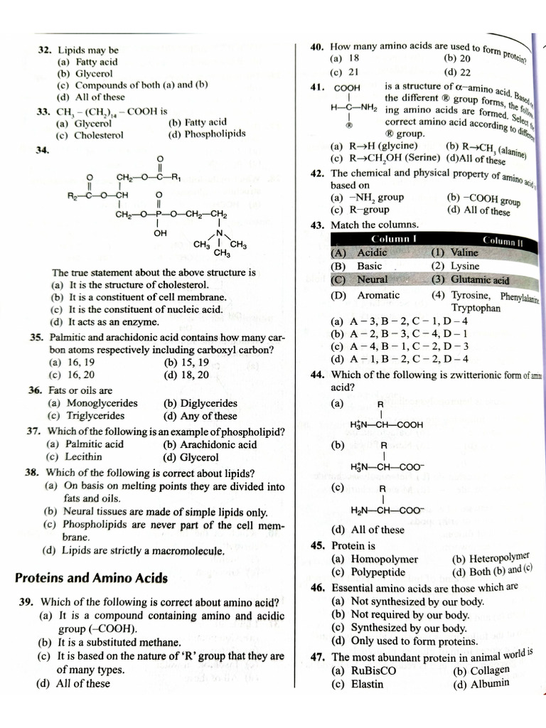 Biomolecules Practice Questions Pdf