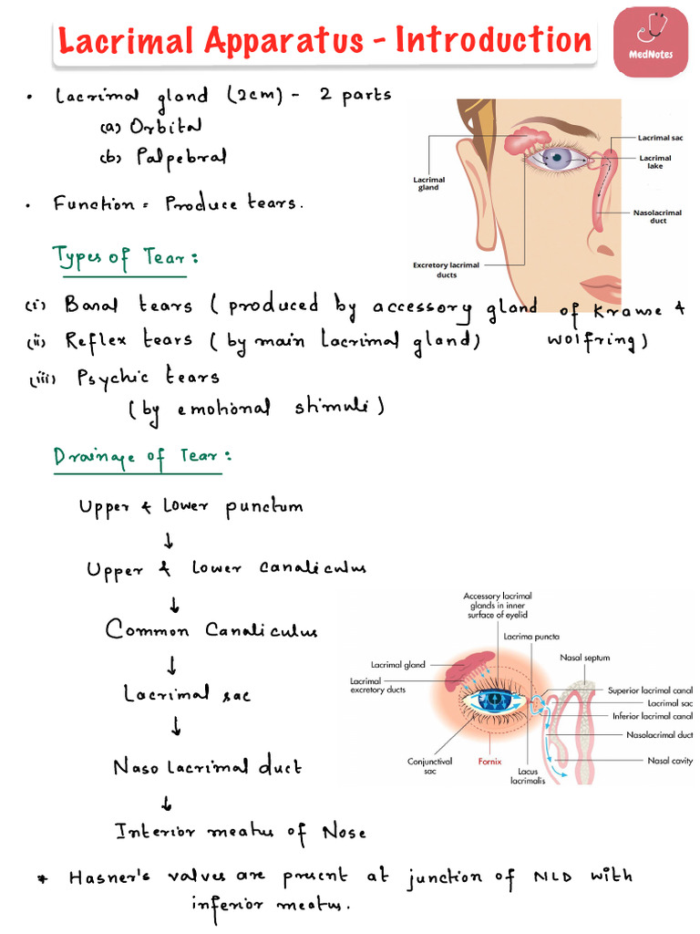 Lacrimal Apparatus Overview and Disorders | PDF | Sensory Organs ...