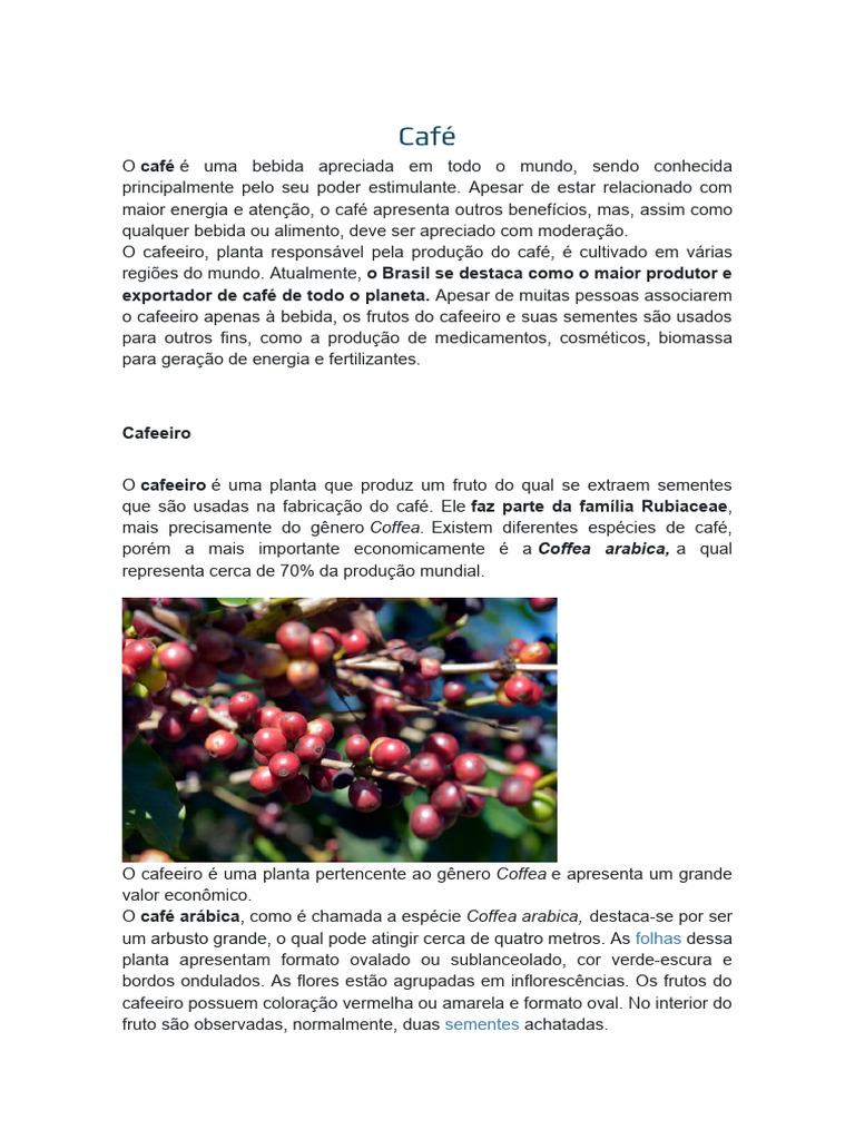 Café - Texto Expositivo | PDF | Café | Bebidas alcoólicas