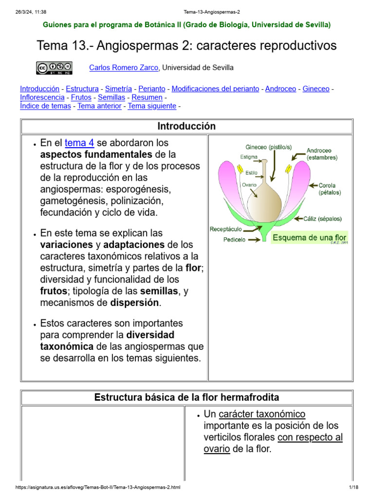 Estructura y Función de Flores Angiospermas | PDF | Flores | Semilla