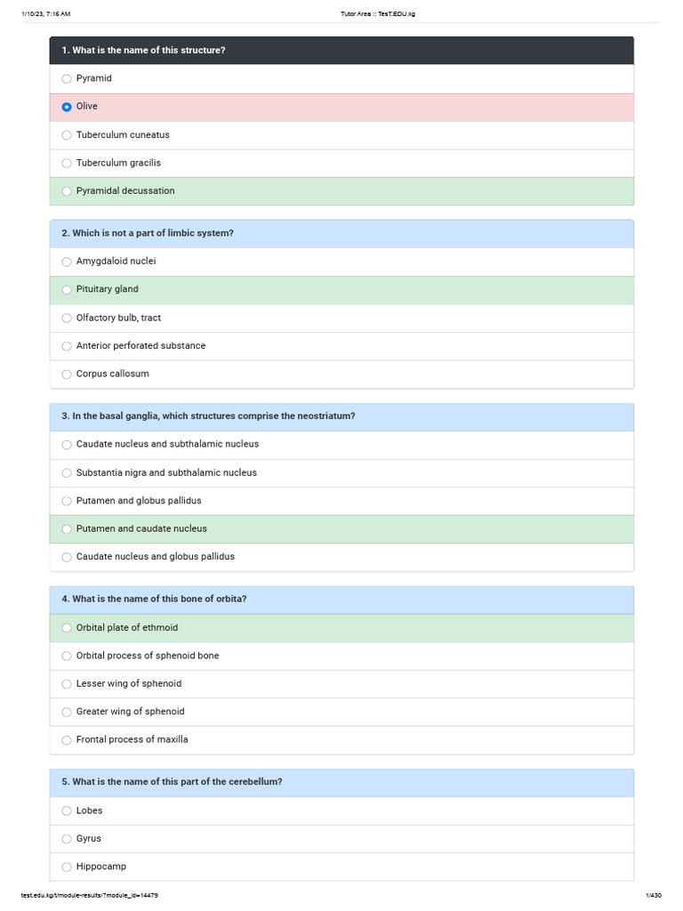 Module Results for TesT.EDU.kg | PDF | Cerebral Cortex | Spinal Cord