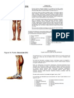 Acupuntura y Homeopat Para DM2