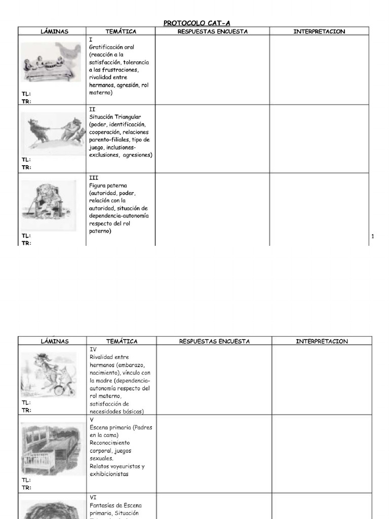 S13.s1 Protocolo Cat A PDF | PDF