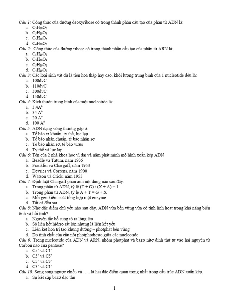 Ã - N Thi 1 | PDF
