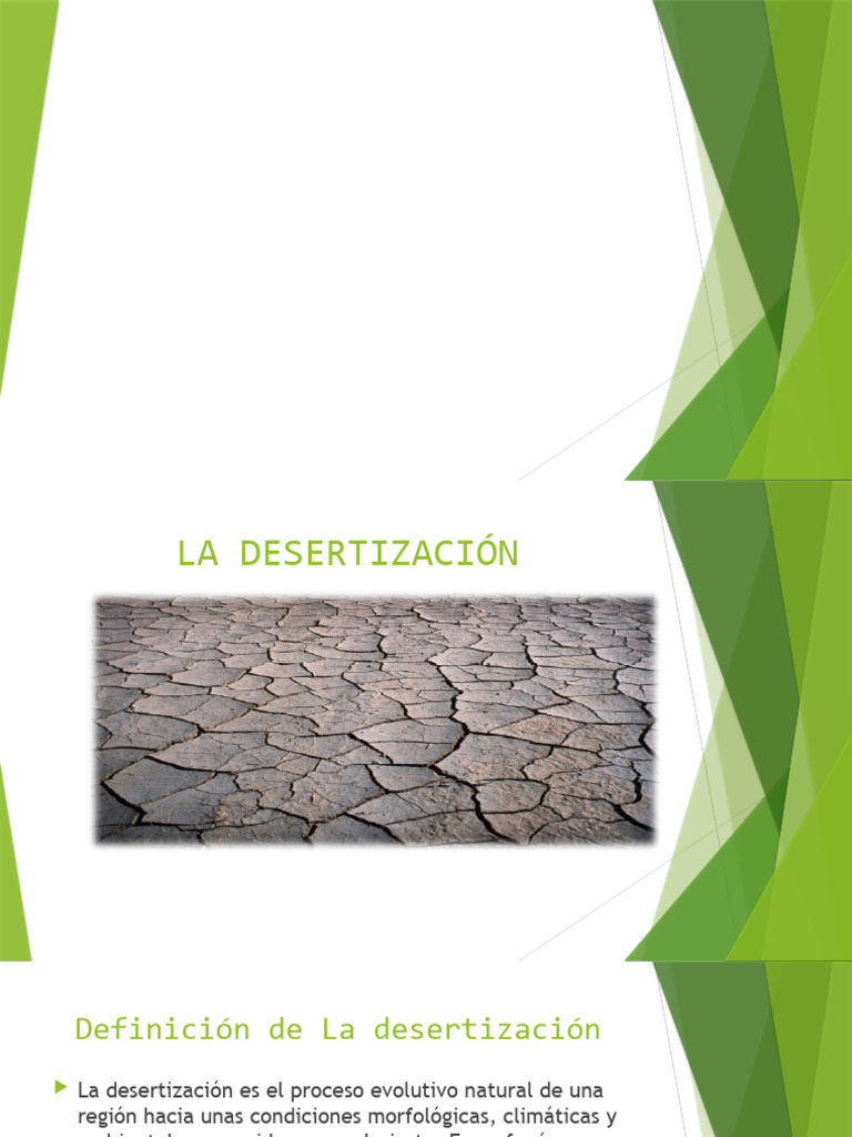 faceta-pdf