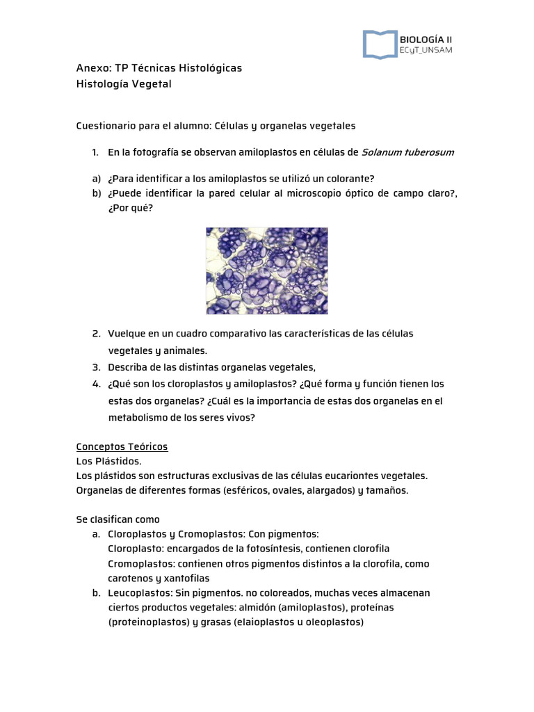 Anexo TP Técnicas Histológicas 2021 | PDF | Cloroplasto | Sangre