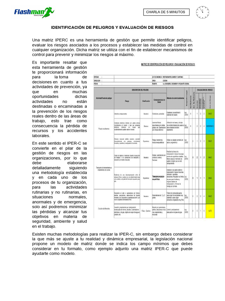 Gestión de Riesgos y Seguridad Laboral | PDF | ruido | Entorno natural