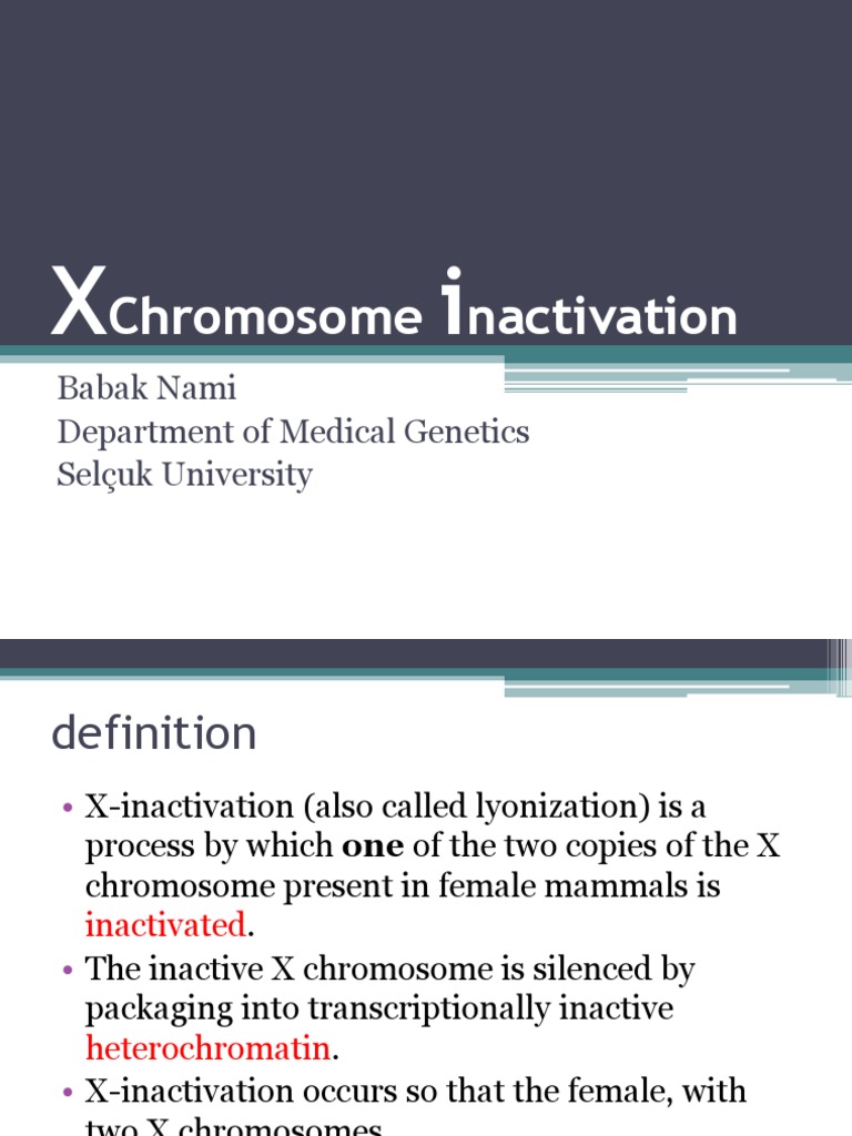 X Inactivation Zygosity Biological Processes