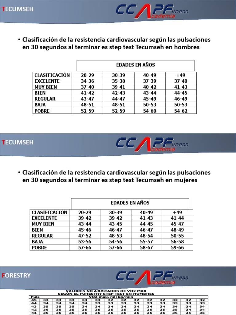 Clasificación de Resistencia Cardiovascular | PDF | Ajedrez