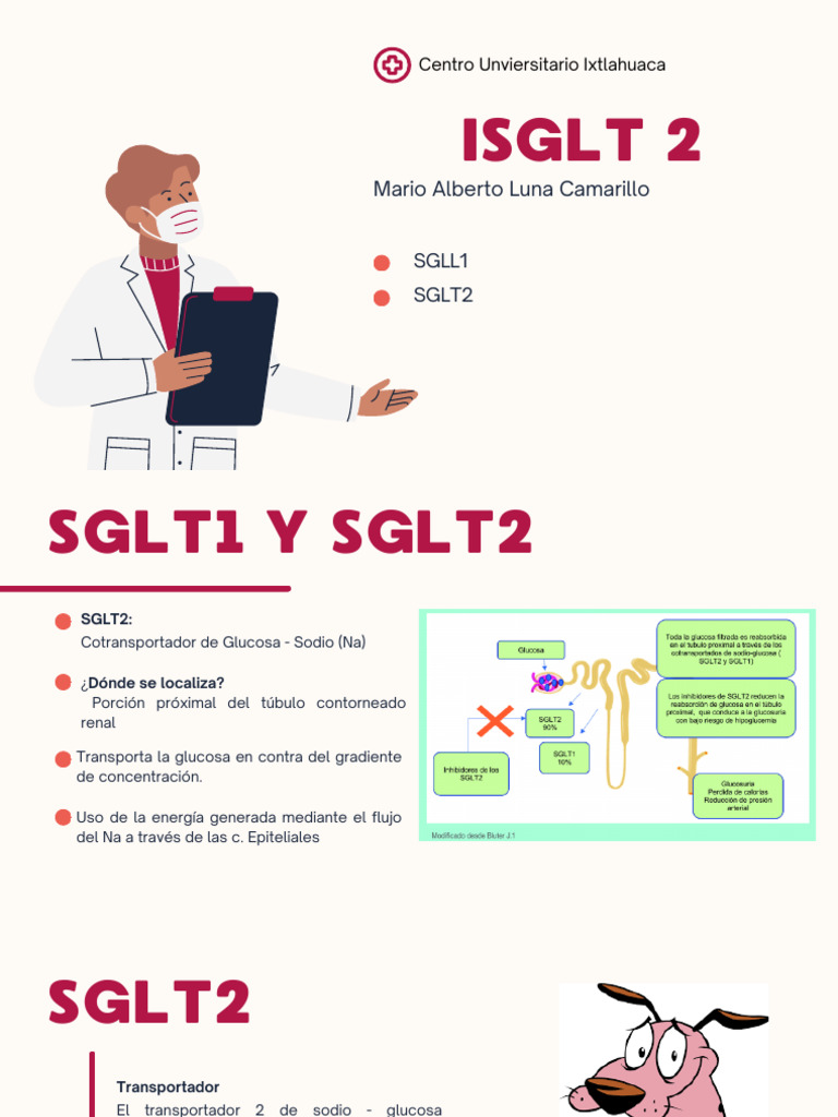 Efectos de SGLT2 en Diabetes Tipo 2 | PDF | Especialidades Medicas ...