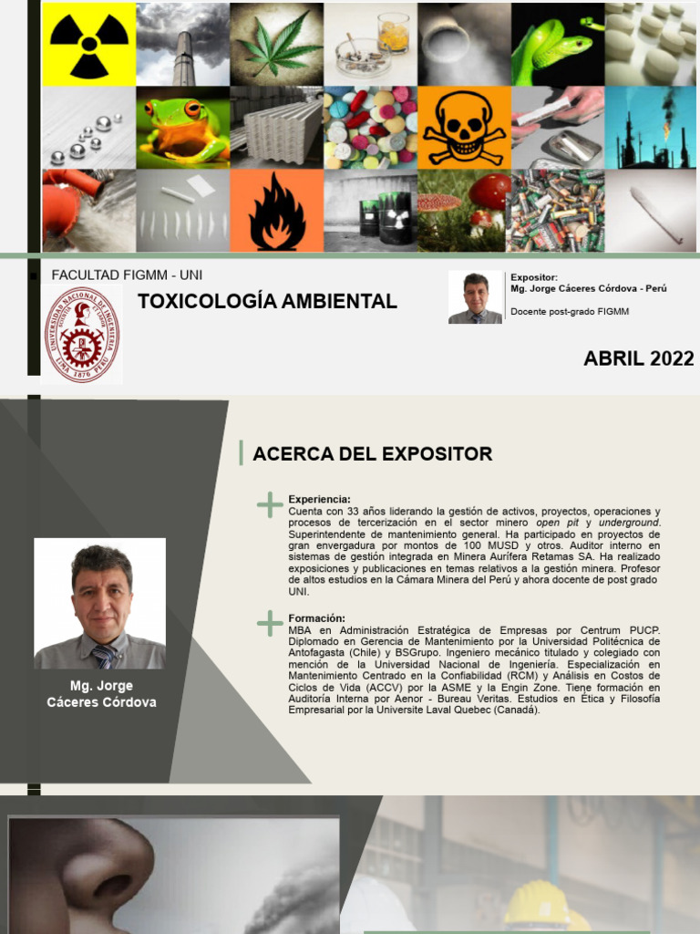 Toxicología Ambiental PDF Biotransformación Toxicología