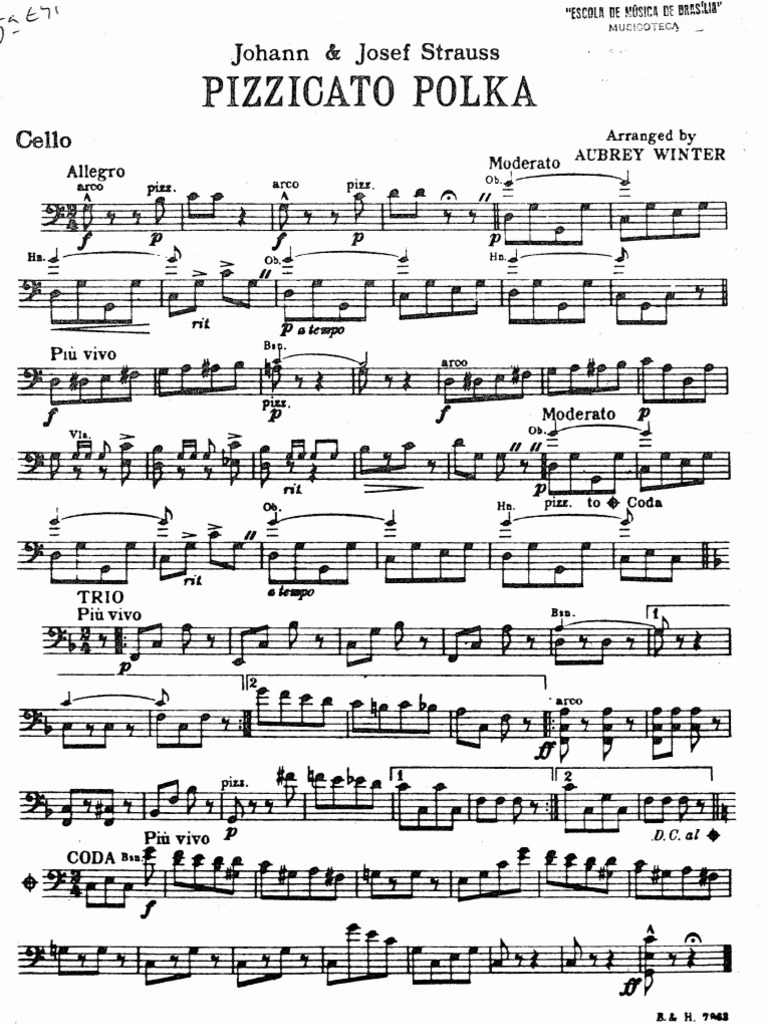 Pizzicato Polka for Cello Arrangement | PDF | Art | Classics