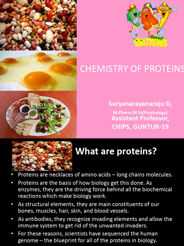 Chemistry of Proteins | PDF | Amino Acid | Proteins