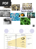 Structure et Classification des Virus | PDF | Virus | Sciences de la vie