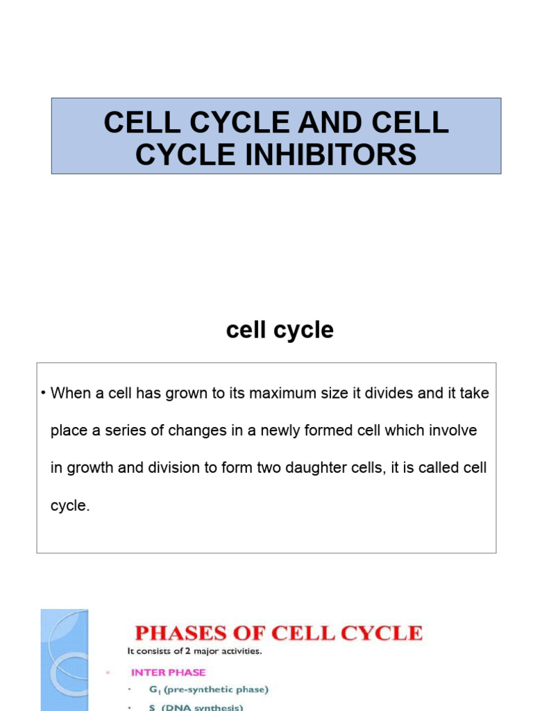 Understanding the Cell Cycle Phases | PDF | Mitosis | Cell Cycle