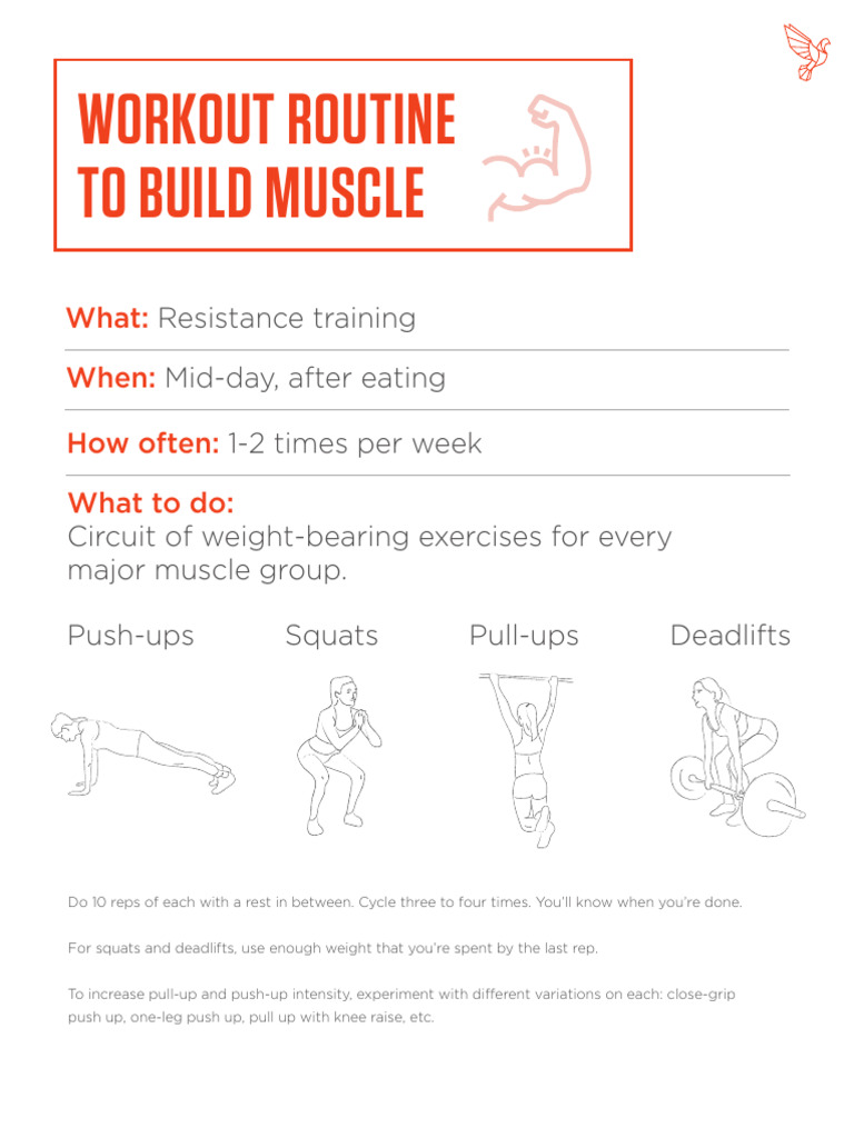 Effective Workout Routines for Fitness | PDF | Weight Training ...