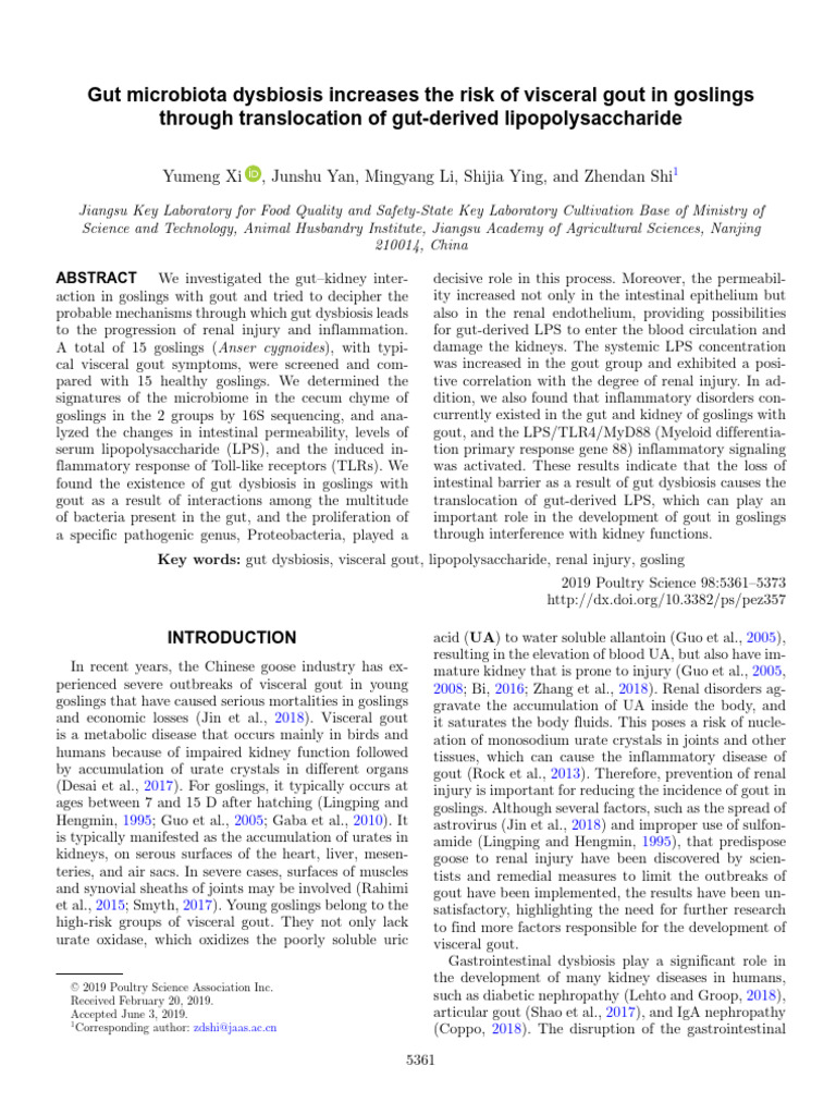 Gut Microbiota Dysbiosis Increases The Risk of Visceral Gout in - 2019 ...
