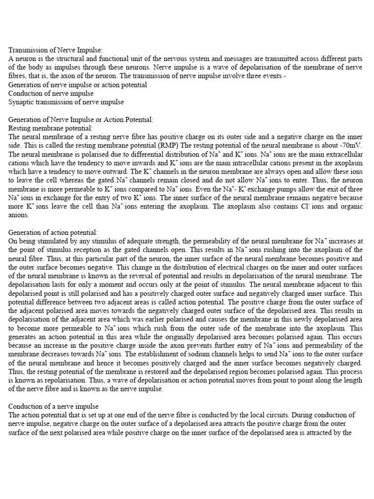 Sequence of Nerve Impulse Transmission | PDF | Chemical Synapse ...
