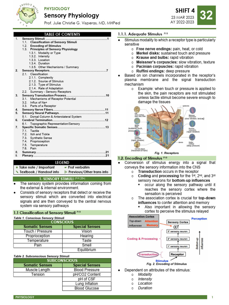 (PHY) 32 Sensory Physiology (v.2) | PDF | Stimulus (Physiology ...