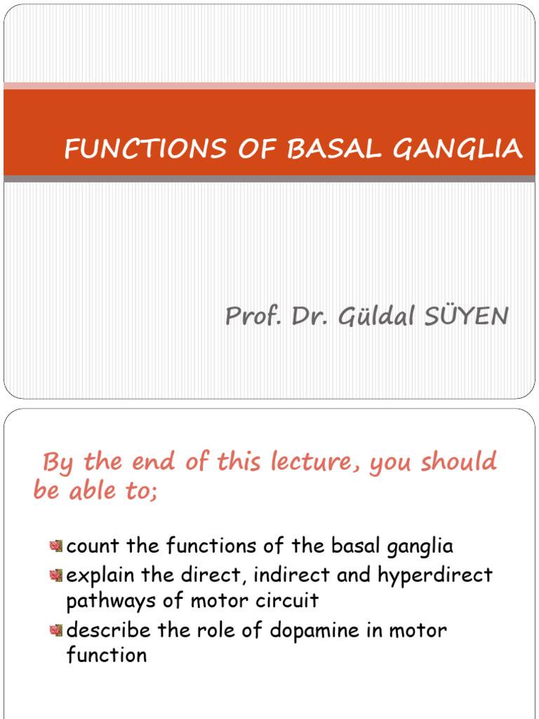 Functions of Basal Ganglia Explained | PDF | Striatum | Basal Ganglia