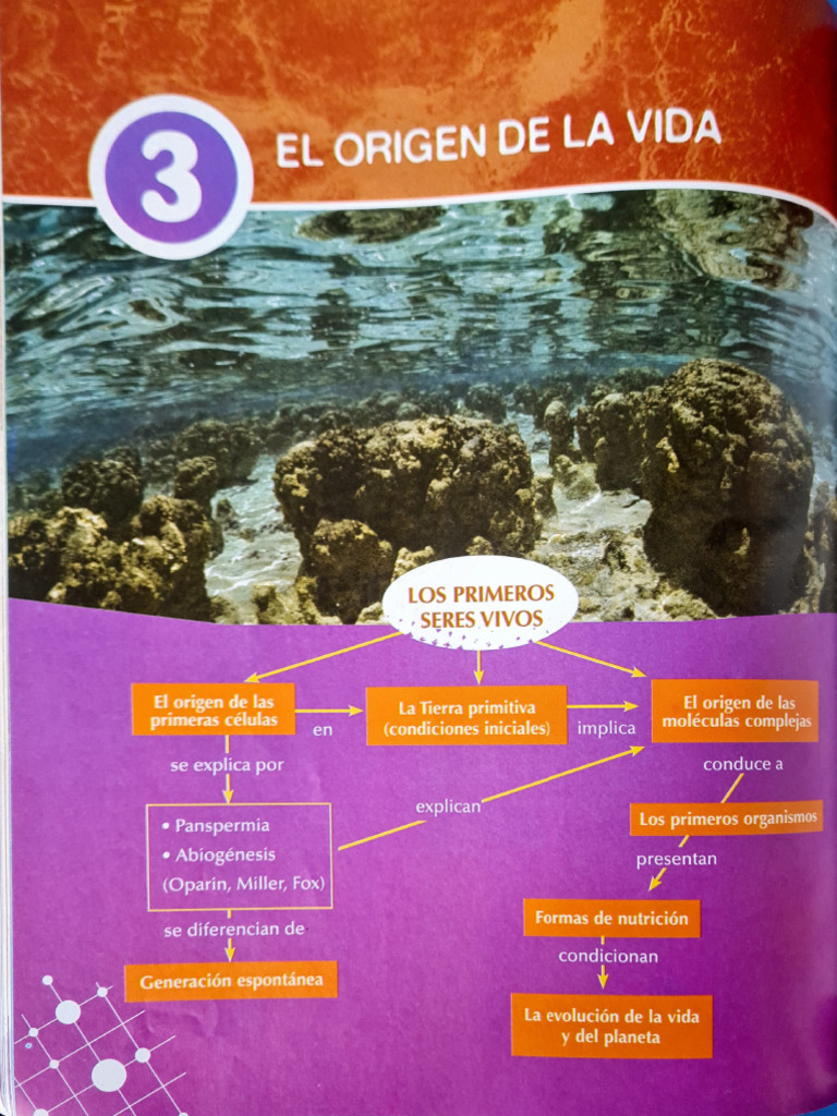 El Origen de La Vida (Material Teórico Biología) | PDF | Organismos ...