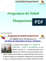 Programa de Salud Ocupacional ....    "ponzio"