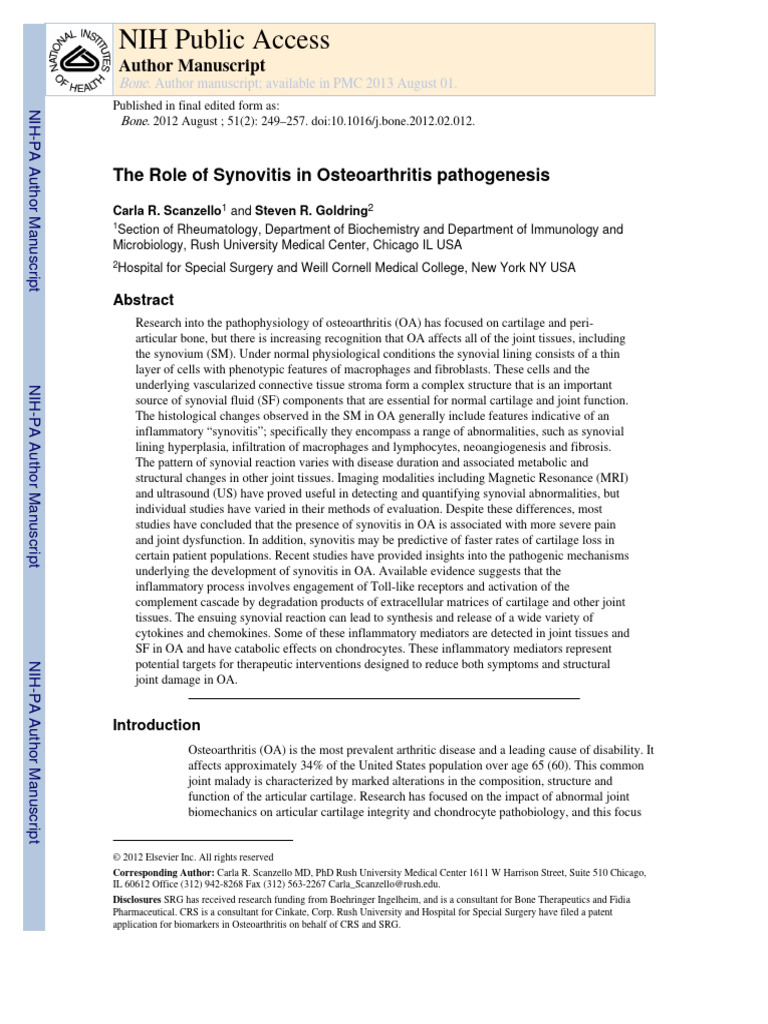 The Role of Synovitis in Osteoarthritis Pathogenesis | PDF | Complement ...