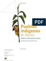 Pueblos Indigenas Mexico Navarrete c1