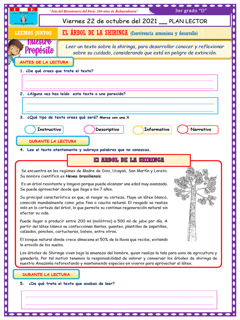 Leemos Juntos Día 5 El Árbol de La Shiringa (1) | PDF