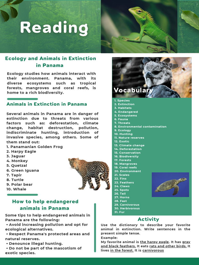 Reading | PDF | Endangered Species | Extinction