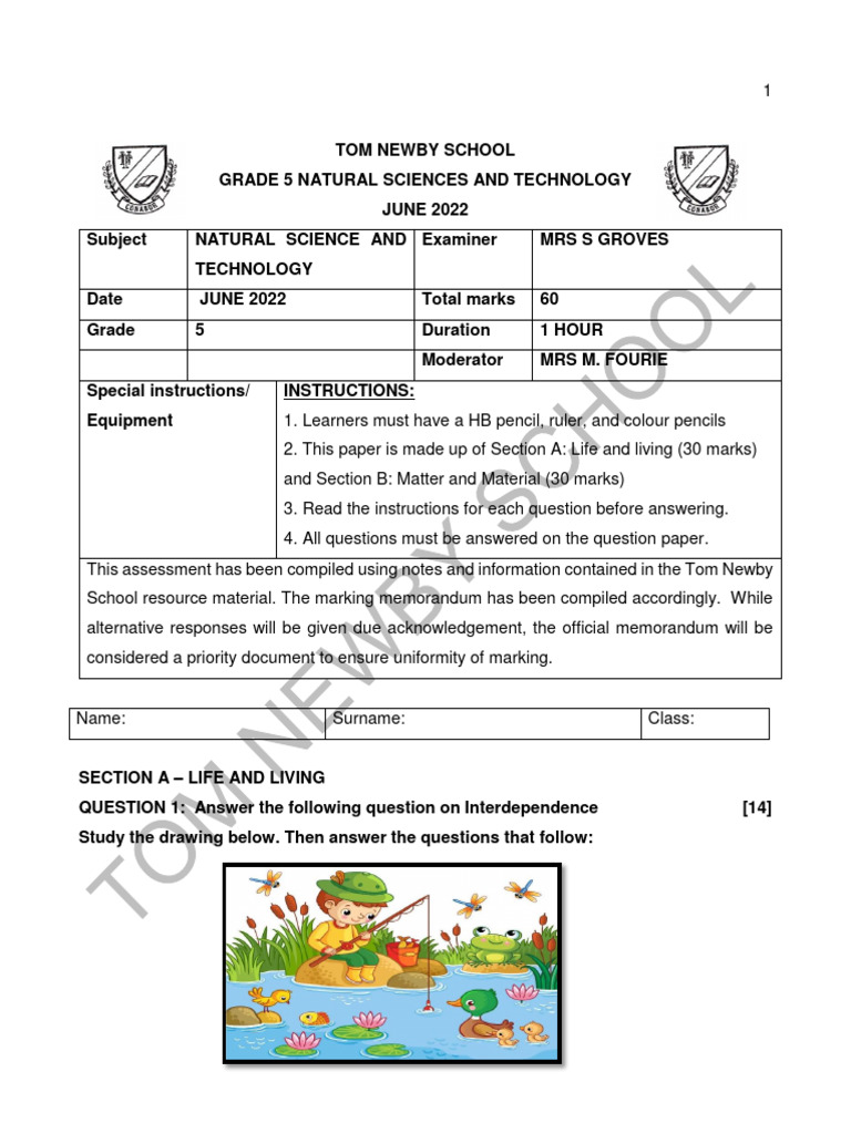 Grade 5 Natural Science Exam June 2022 Pdf Metals Foods