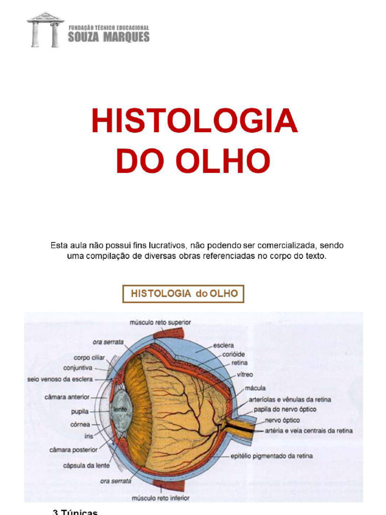 Pluginfile - PHP 2 | PDF | Córnea | Sistema visual