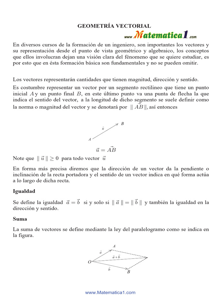 Geo Vectori COMPLETOX | PDF | Espacio vectorial | Vector Euclidiano