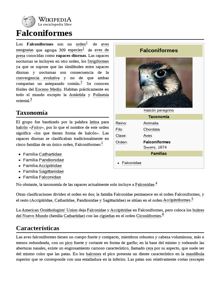 Características de los Falconiformes | PDF | Aves | Ornitología