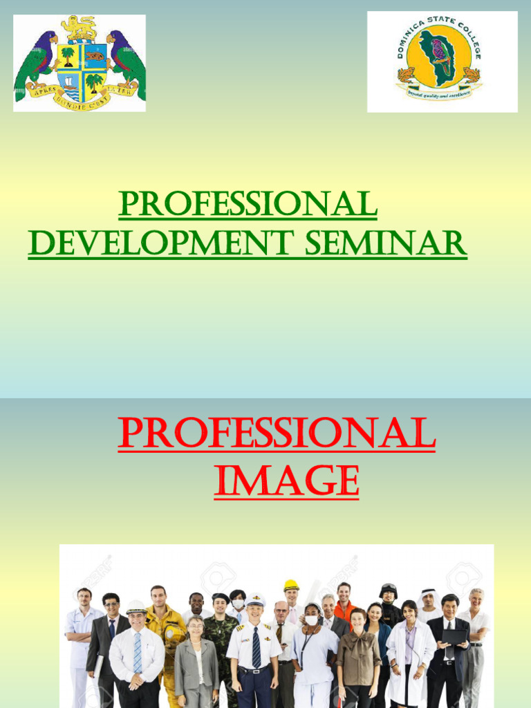 Mastering Professionalism at Work | PDF | Psychological Resilience ...