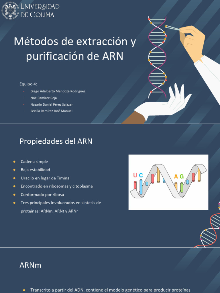 Métodos de extracción y purificación de ARN | PDF | Ribosoma ...