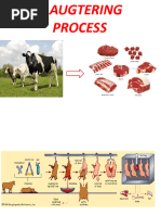 vaccination-schedule-for-pigs-manual-thomson-zulu-pdf-pig