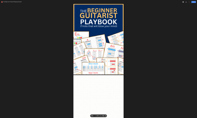 Beginner Guitarist Playbook Guide | PDF