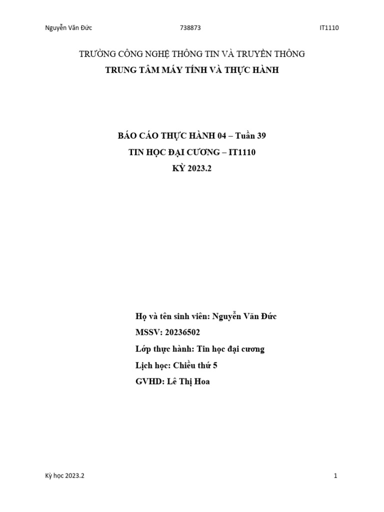 TH05 BaoCao ThucHanh IT1110 2023.2 | PDF