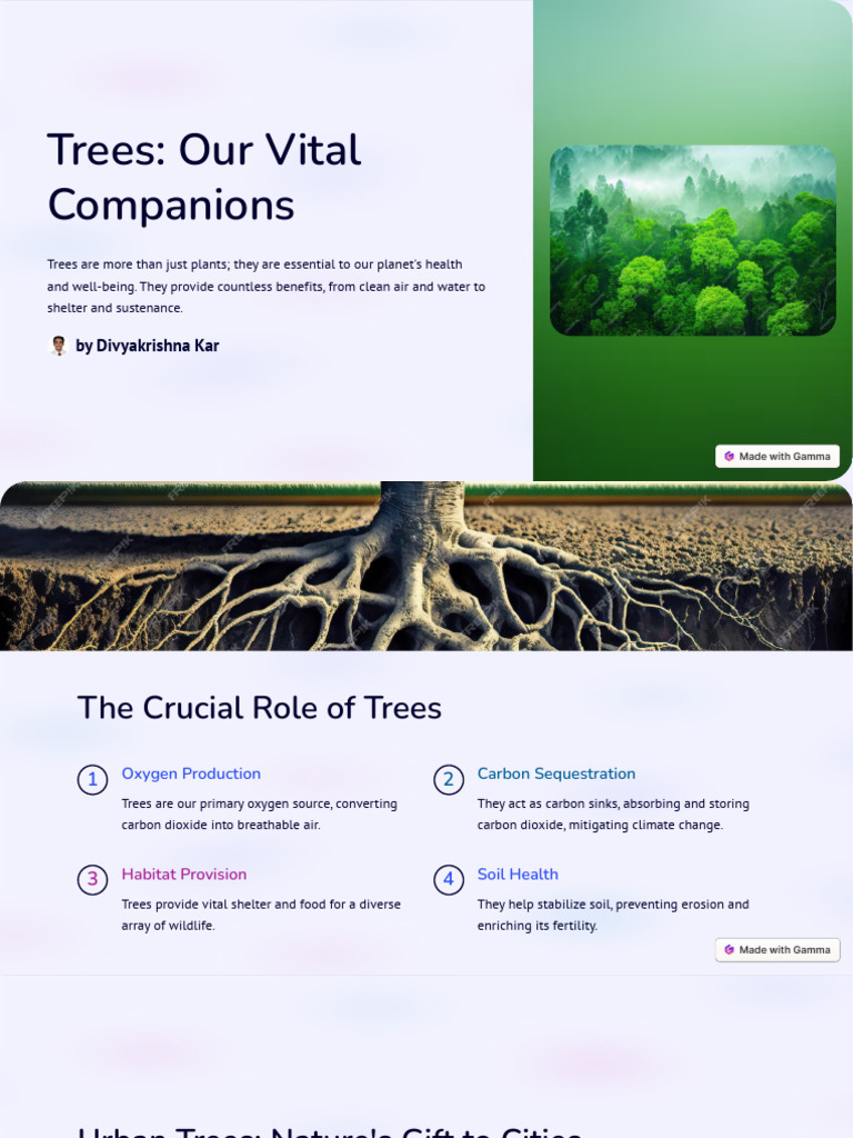 Importance of Trees for Ecosystems | PDF | Trees | Climate Change