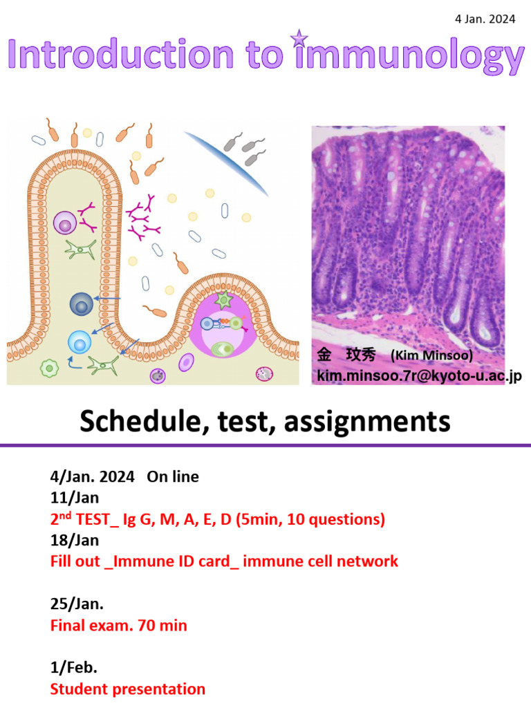 Dfs Class11 240104 Class Material | PDF | B Cell | T Cell