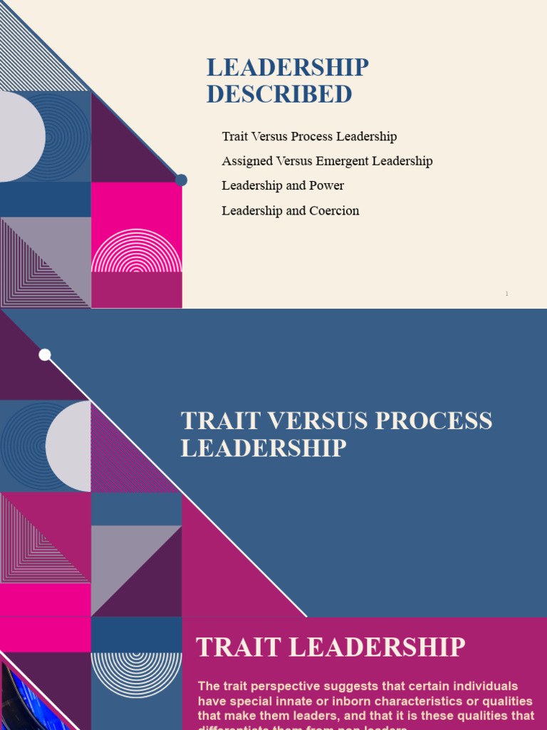 Leadership Described | PDF | Leadership | Power (Social And Political)