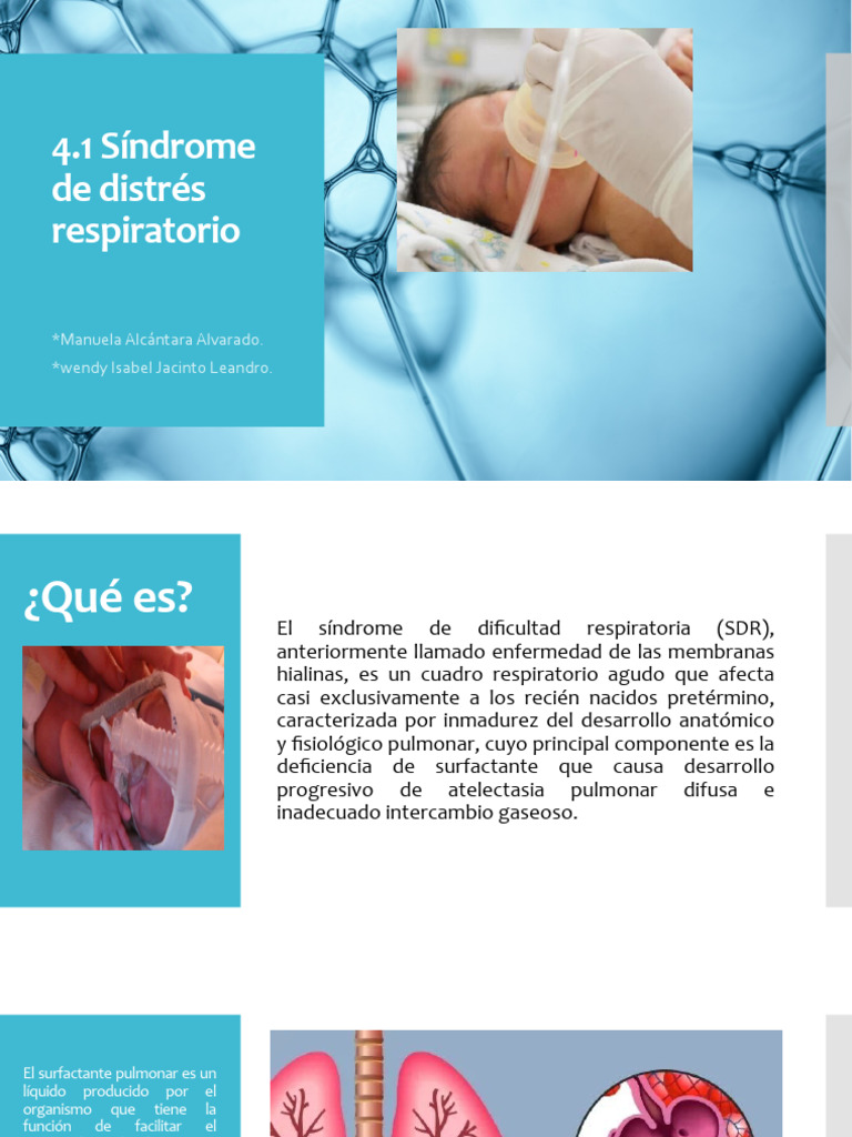 4.1 Sindrome de Distres Respiratorio | PDF | Pulmón | Sistema respiratorio