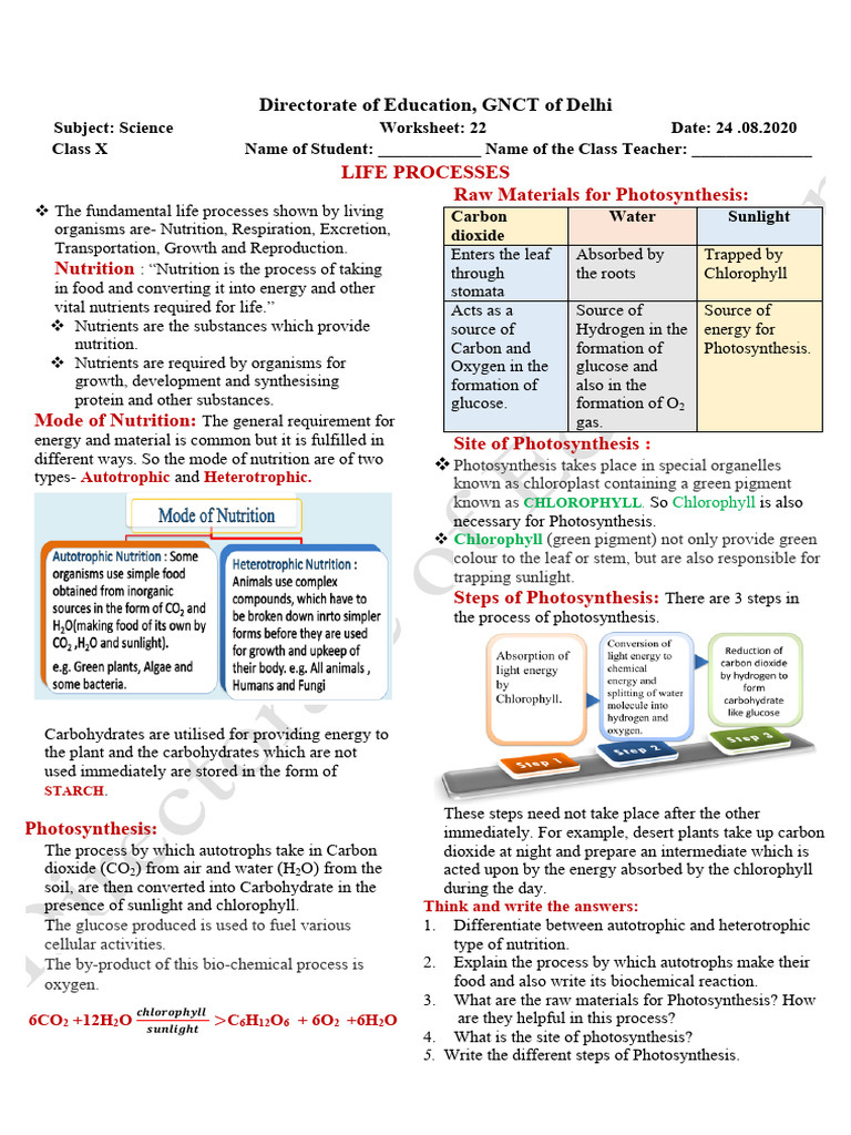 Chapter-5 Life Process Worksheet22 | Download Free PDF | Photosynthesis ...