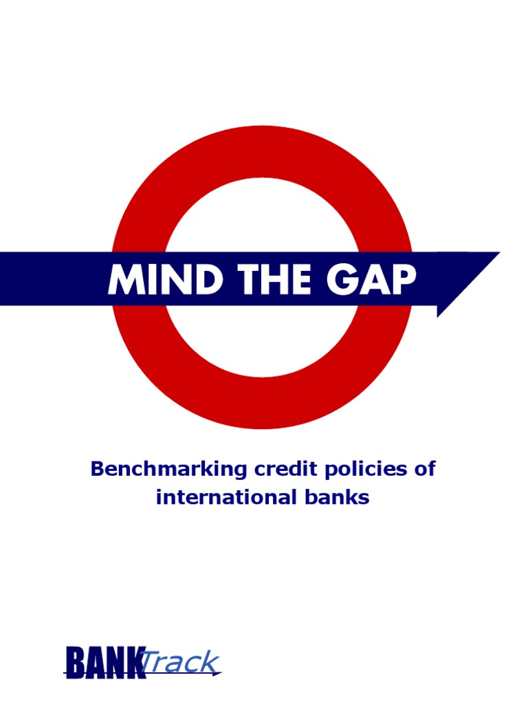 Mind The Gap | PDF | Sustainability | Policy