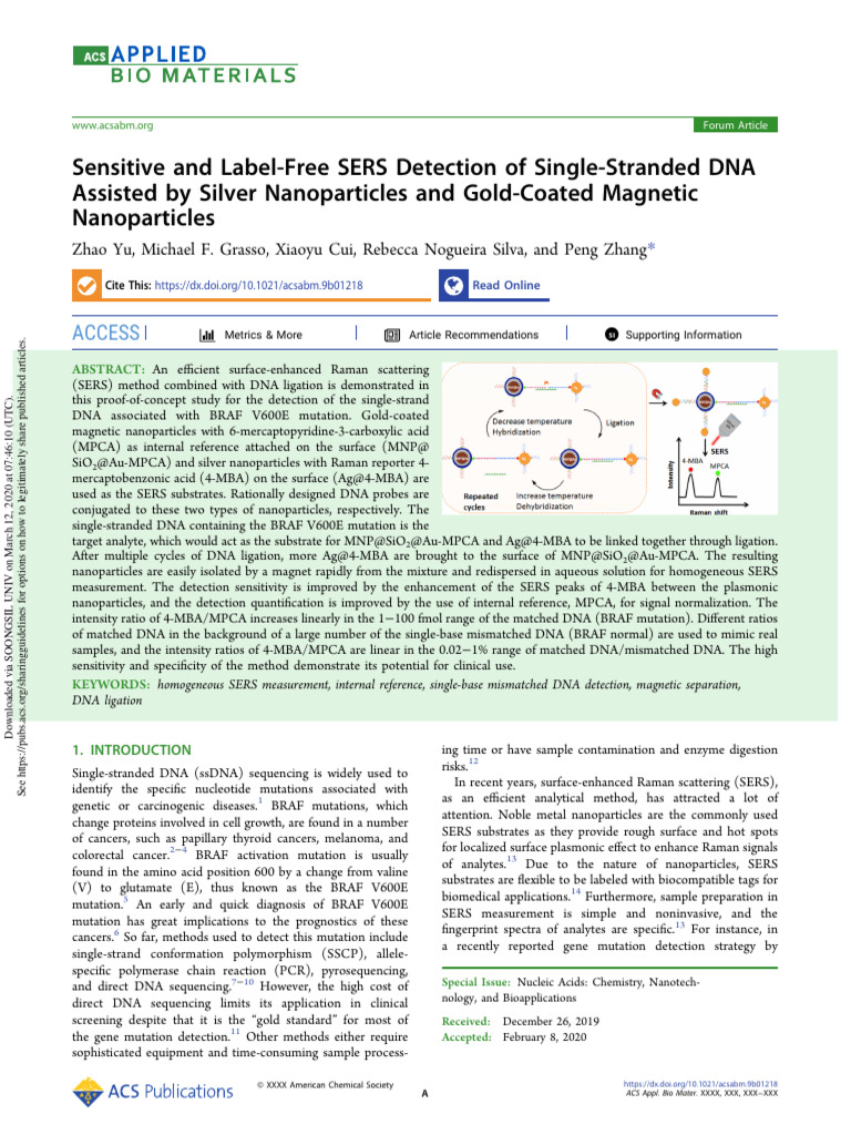 Sensitive and Label-Free SERS Detection of Single-Stranded DNA Assisted ...
