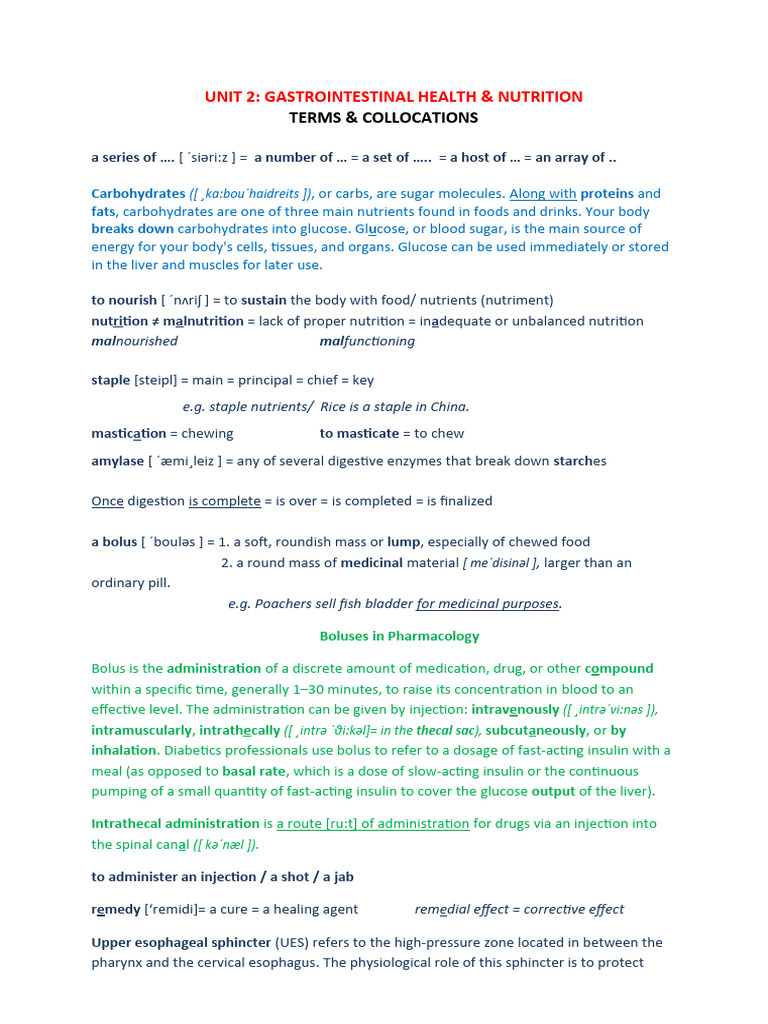Unit 2 - Terms Collocations | PDF | Human Digestive System ...