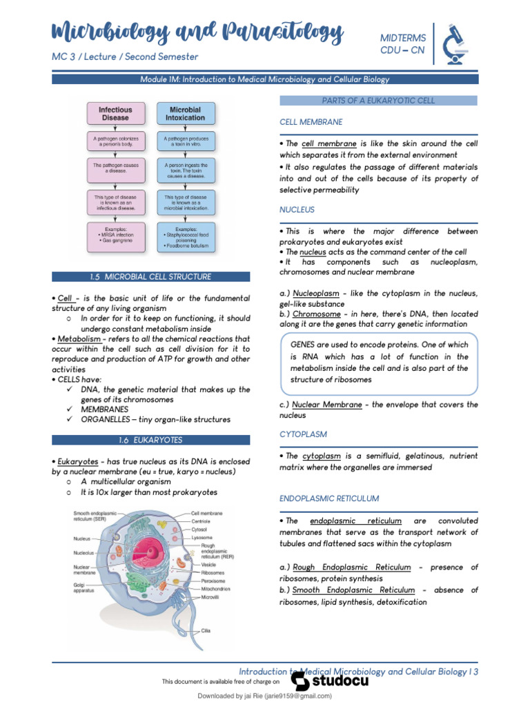 Microbiology and Parasitology | PDF | Cell (Biology) | Immune System